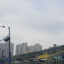 경희영어태권도장 이미지