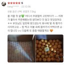 세광카크리닉 | 즐거웠던 강화도 여행💚, 221205 ~ 221211