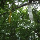 삼거리장수경로당 이미지