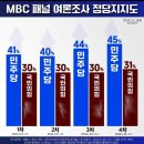 MBC 패널 지지율 조사 한 장으로 이미지