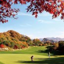 2X 골프 아카데미 네이버블로그