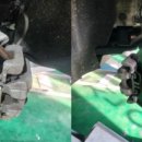 써드 모터스 이미지