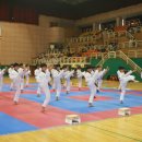 강현태권도 이미지