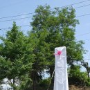 탄현공원 이미지