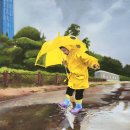 쉽게 배우는 유화(기초) 이미지