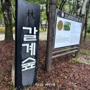 갈계숲화장실 이미지