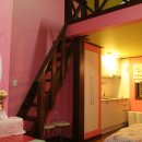 숲속의 별들 이미지