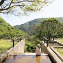 바우가든 이미지