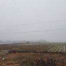 진안-진안-비상-17 이미지