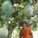 샘밭 농장 이미지