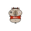 일쌍