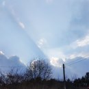 아침햇살염소농장 이미지