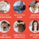 실큐아미노산 - 창원시 마산회원구 | 실큐아미노산