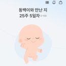 뚜레쥬르창원경상대병원점 | 창원경상대병원 임산부 임당검사 후기,,, (억울한 재검 당첨)