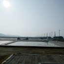 천일염힐링캠프 이미지