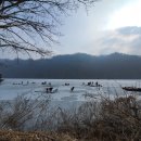 대추나무집 이미지