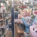 조니플라워&디자인
