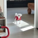 매직PC방 양덕직영점 | 경북 포항 : 여행이라기엔 애매한 엄마찾아 ktx999