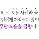하늘숲소아청소년과의원 이미지