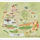 스테이자연도 이미지