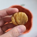 밤이송이농장