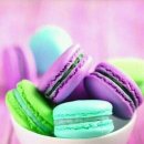 파란지붕 이미지