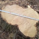 은평-021 이미지