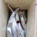 순찬낚시터 이미지