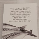 고등어명품이되다 이미지