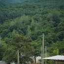 삼가리 160 이미지