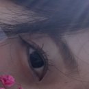 예쁜민낯 | 세종시 속눈썹 펌 추천 오늘도 예쁜눈에서 받은 후기