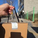 로즈마리한약국 이미지