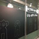 와니펫싸롱 이미지