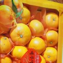 세일농장 이미지