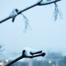 명선재 이미지