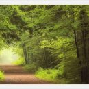 우리.다 이미지