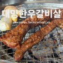 제주시청 고기집 대명한우갈비살 한우정식 맛집 후기