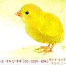 Re:찻집이나 공방이나 뜻을 세웠으면 10년을 노크하세요, 뜻은 이루어 집니다... 가나다순 이미지