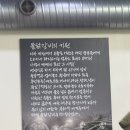 태백 솥뚜껑 물닭갈비 이미지
