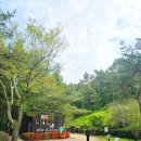 황토별 | 울산대공원 메타세쿼이아숲 | 산책로 위치 맨발 황토길 후기