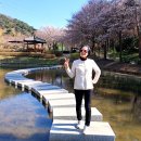 삼선 이미지