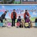 훈이애견 이미지