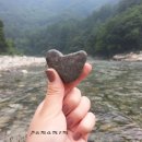 한솔농원 이미지