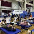 예산-52 충남도민일보