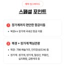 일석이조 이미지