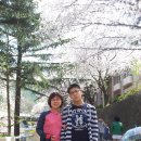 앞산공원 이미지