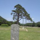 아까돔보 보은, 속리산 법주사(法住寺) (11). 이미지