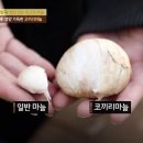 코끼리밥상 이미지