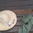 일심식당 이미지