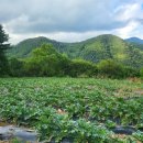 경안산소 이미지